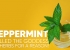 Peppermint: The Goddess of Herbs