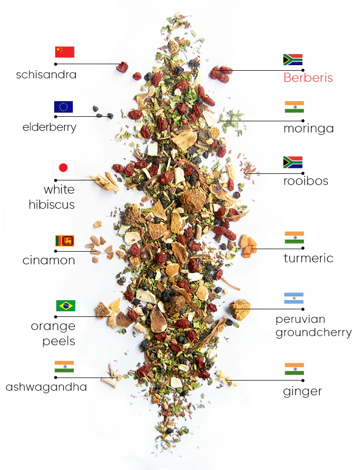 Berry Wellness Tea | wow tea berry wellness ingredients D EN