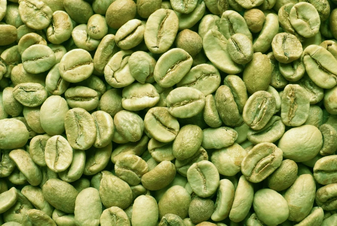 Cocoa SlimFit Infusiоn Drops | WOW Tea UK wowtea-web-id-cocoa-slimfit-ingredietns-banner-D-20.webp