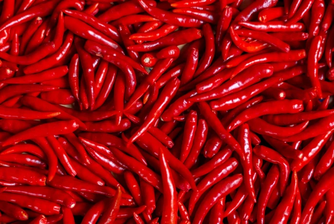 Cocoa SlimFit Infusiоn Drops | WOW Tea UK wowtea-web-id-cocoa-slimfit-ingredietns-banner-D-24.webp