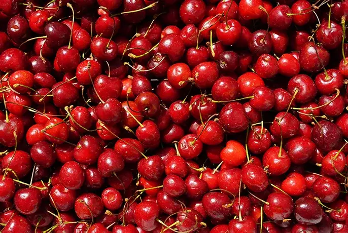 Cocoa Wellness Infusiоn Drops | WOW Tea UK wowtea-web-id-cocoa-wellness-ingredients-tartcherry.webp