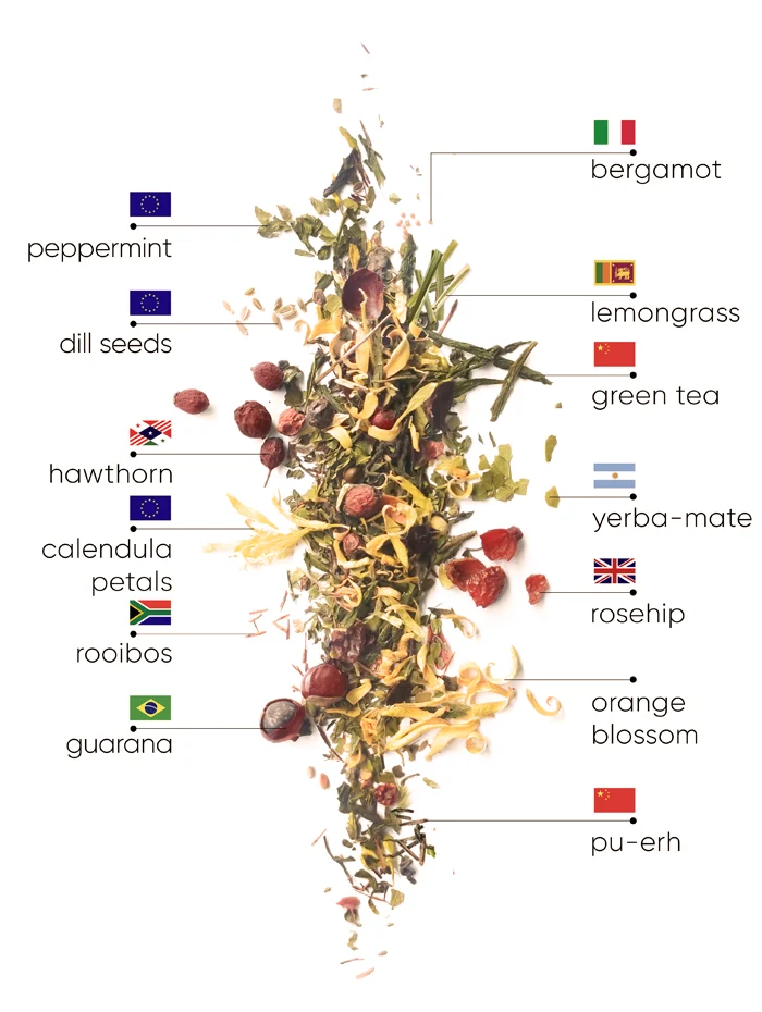 Mint Detox Tea | WOW Tea UK Mint Detox Tea | detox mint ingredients D