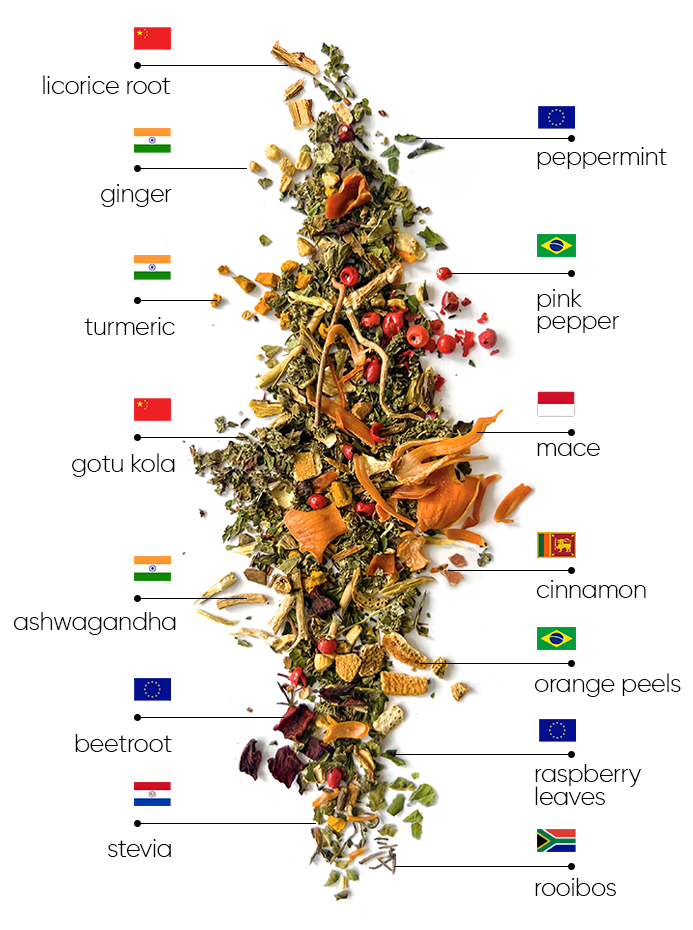 Mint Wellness Tea | wellness mint ingredients